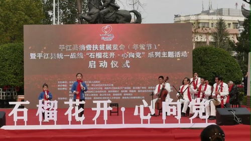 平江縣消費(fèi)扶貧展覽會(huì) 年貨節(jié) 暨平江縣統(tǒng)一戰(zhàn)線 石榴花開(kāi) 心向黨 系列主題活動(dòng)正式啟動(dòng)